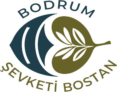 Şevketi Bostan - Bodrum